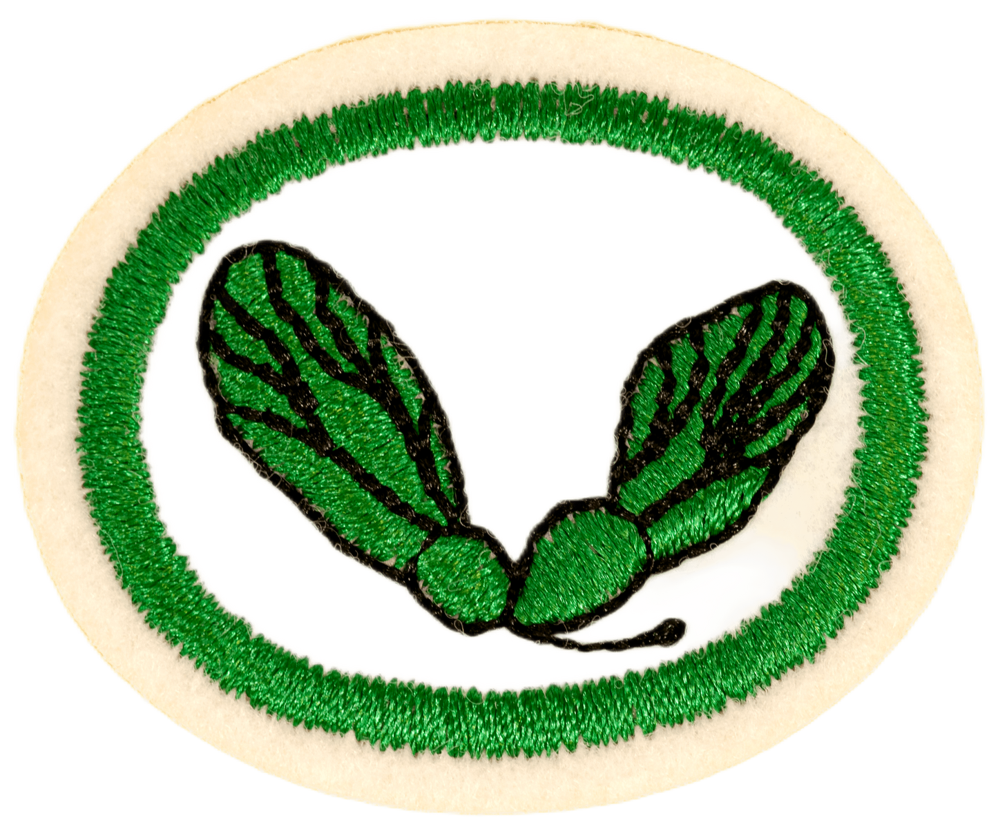 Frø og frøspredning A-41