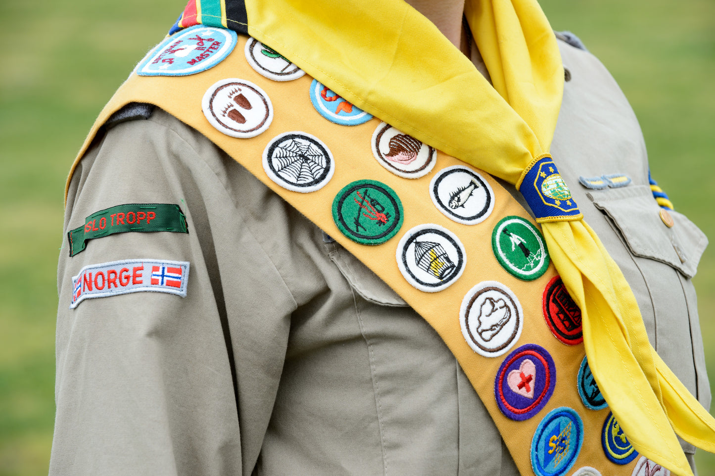 Bandolær Storspeider