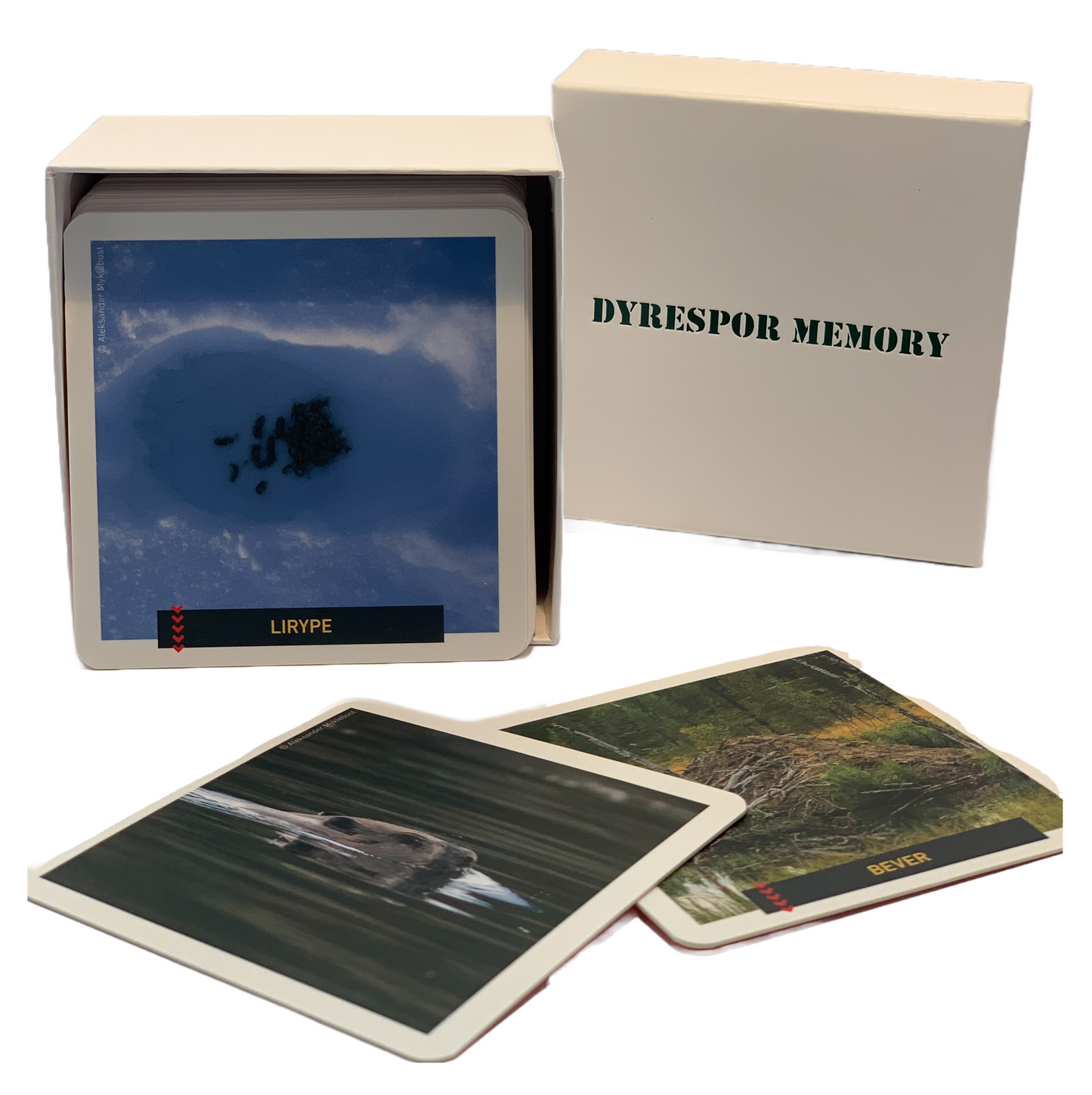 Memory - Norske dyr