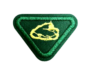 Geolog S-10