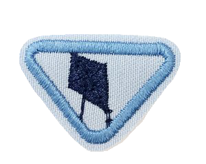 Luftens erobrer S-21