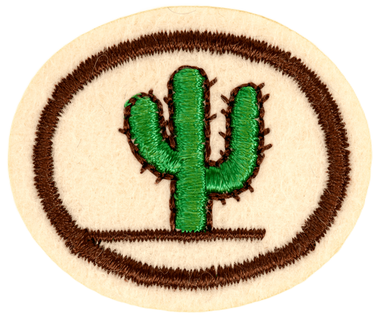 Kaktus A-17